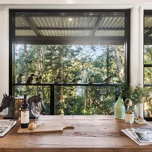 Fig Tree Nest , Montville Australia